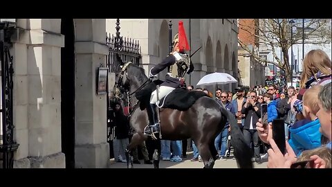 Horse faces the wrong way #horseguardsparade