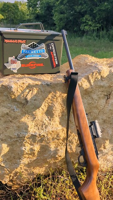 Ruger 10/22 - American Perfection