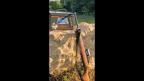 Ruger 10/22 - American Perfection