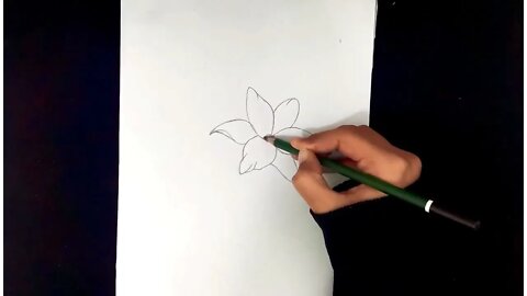 How To Draw Flowers Easy Step