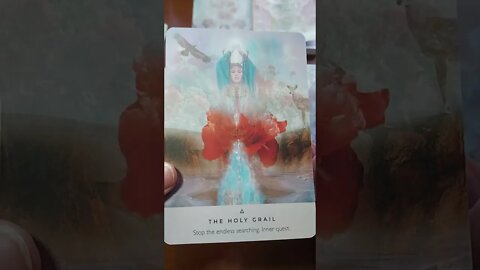 Unboxing The Rose Oracle by Rebecca Campbell