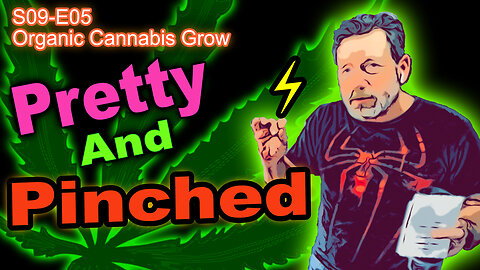 S09 E05 - Day 35 Of Our Cannabis Grow - Week 4 In Pots - Training & Pinching Ongoing