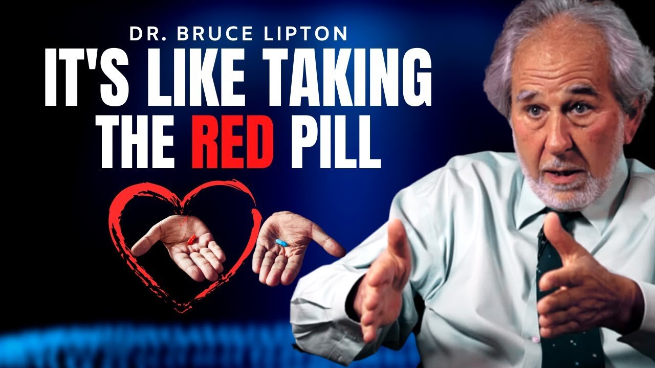 How To Really Get RED-PILLED | Dr. Bruce Lipton (Honeymoon Effect)