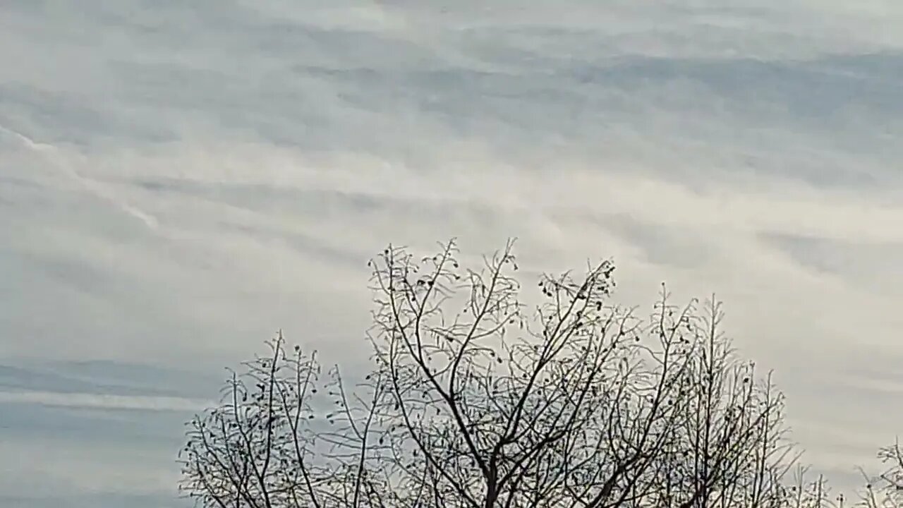 Chemtrails Bryan TX 12/27/22