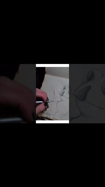 Koala Wer-Toad Fantasy Drawing #worldbuilding #sketching #livestream #artwork #drawing