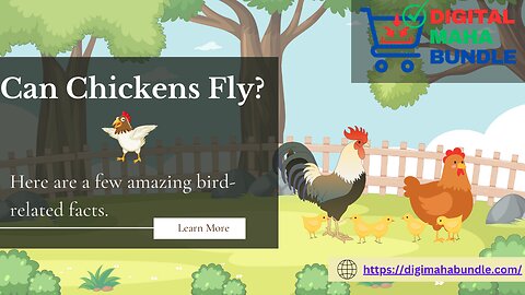 Can chickens Fly?