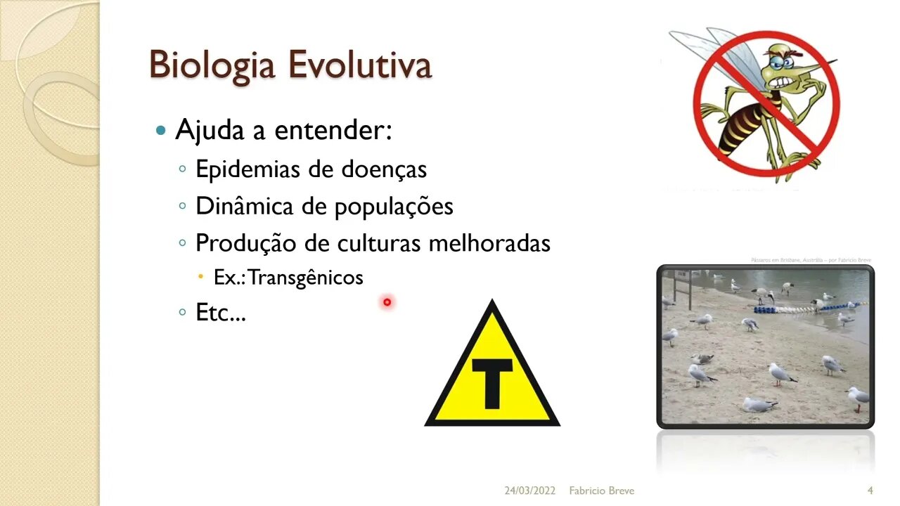 03 - Biologia Evolutiva - Computação Inspirada pela Natureza