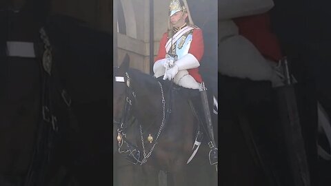 The horse's name is rangler #horseguardsparade