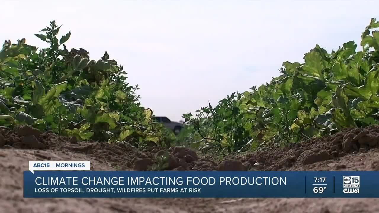 Climate change impacting food production