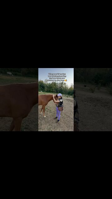 Every Horse Girl Needs A Partner That Enables Their Horse Collection… 😈