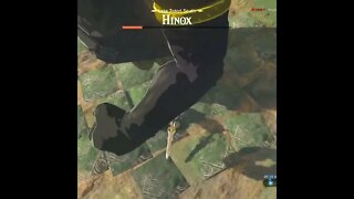 I Can Kill Hinoxes!