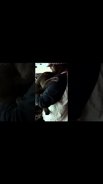 🐾🙏😇✌️🍔🐈‍⬛ #og #cat #furry #beats #ravedump #flee #ticket #banging #techno #acidtechno #uk #goat