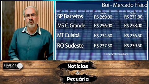 Boi gordo patina, escorrega, derrete e desanima produtor