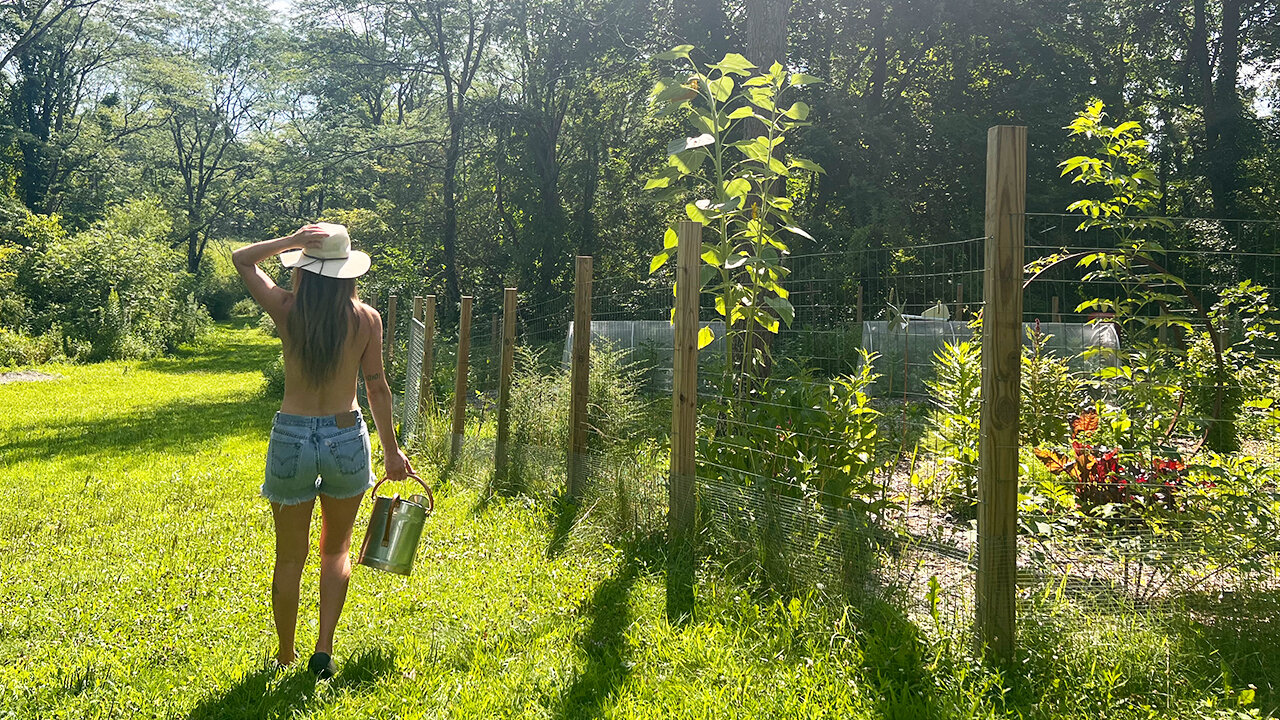 Summer Routine in the Garden & Homestead