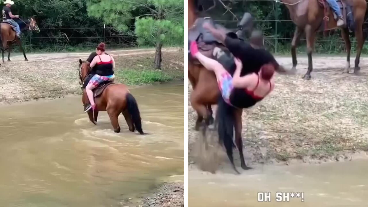 Fat Couple suddenly fall into the river while crossing with horse