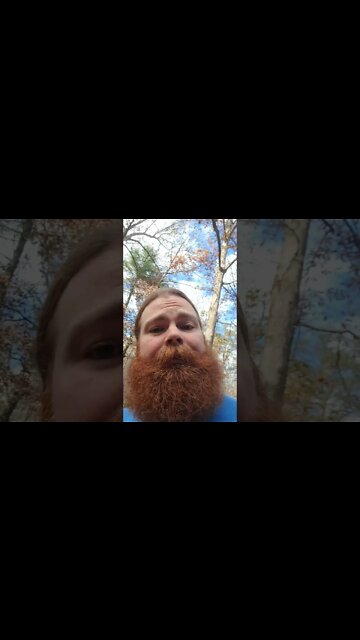 Lights Out #redwave #letsgobrandon