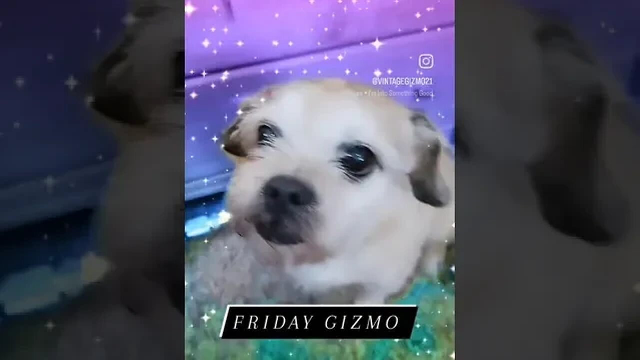 WEEKEND GIZMO