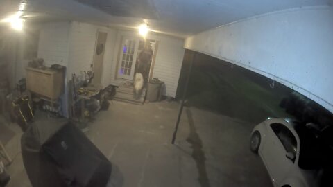 Early morning surprise