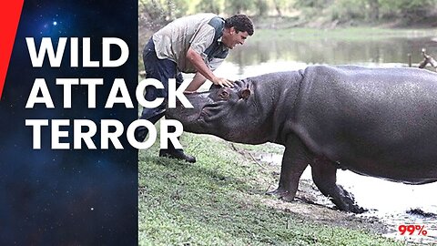 5 Shocking Ends: Wild Animal Attacks That Shook the World