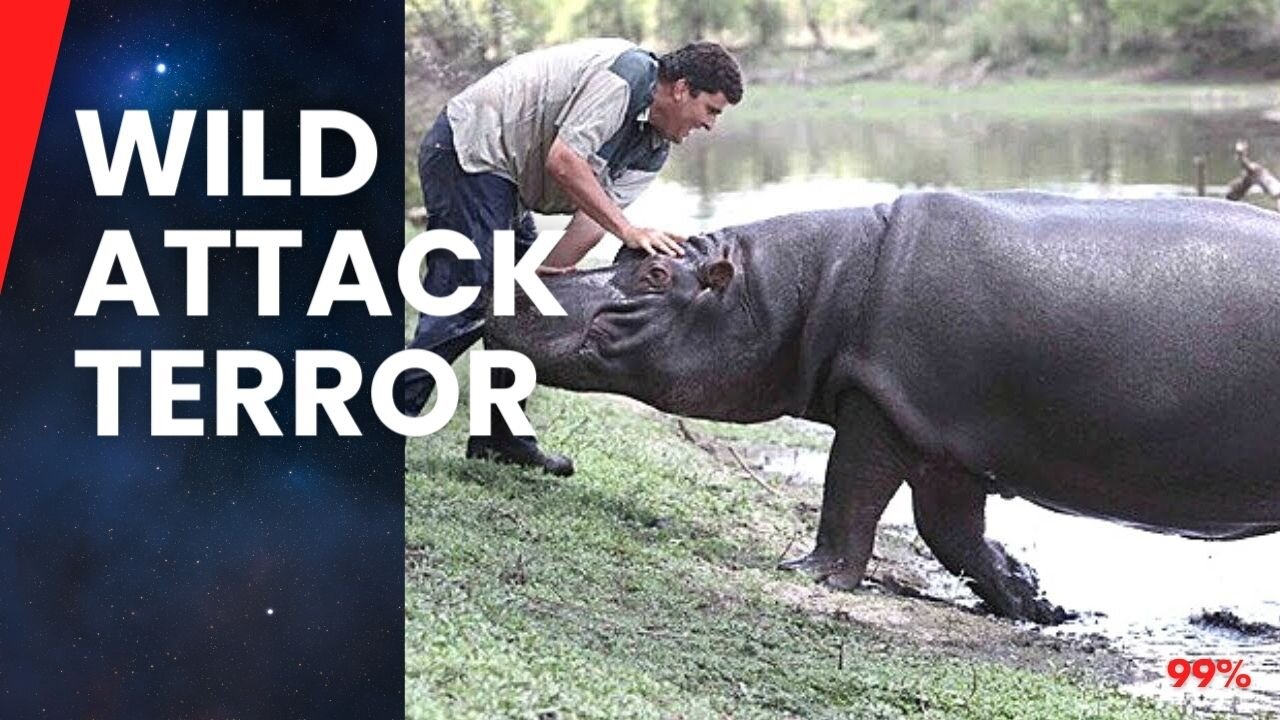 5 Shocking Ends: Wild Animal Attacks That Shook the World