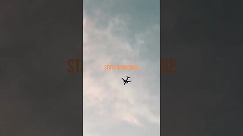 THE AIRPLANE...