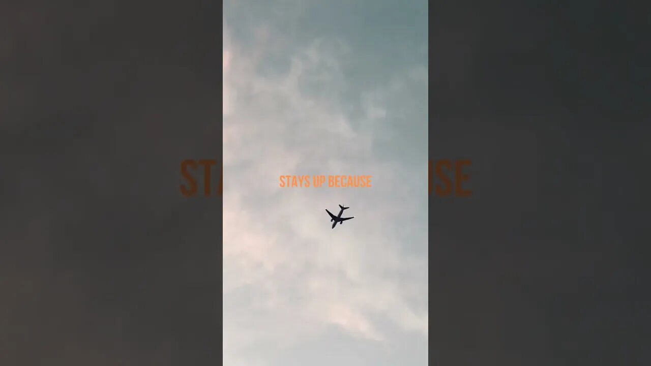 THE AIRPLANE...