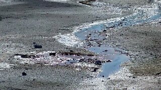 Norris Geyser Basin