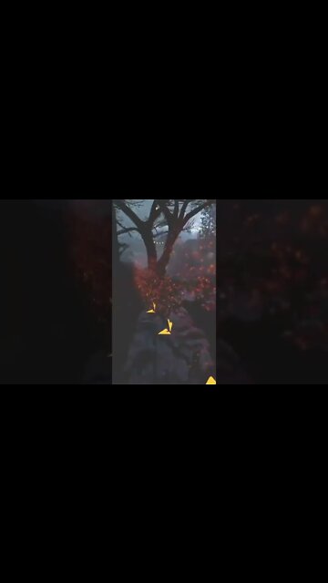 LOOK OUT! 🥜 #shorts