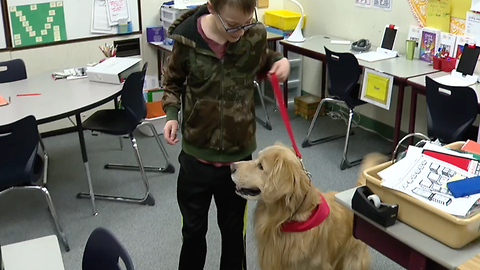 Students learning in new way with help of special assistants