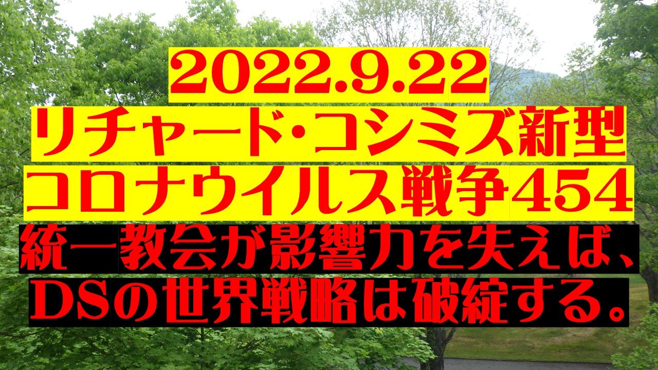 2022.9.２2 リチャード・コシミズ新型コロナウイルス戦争454