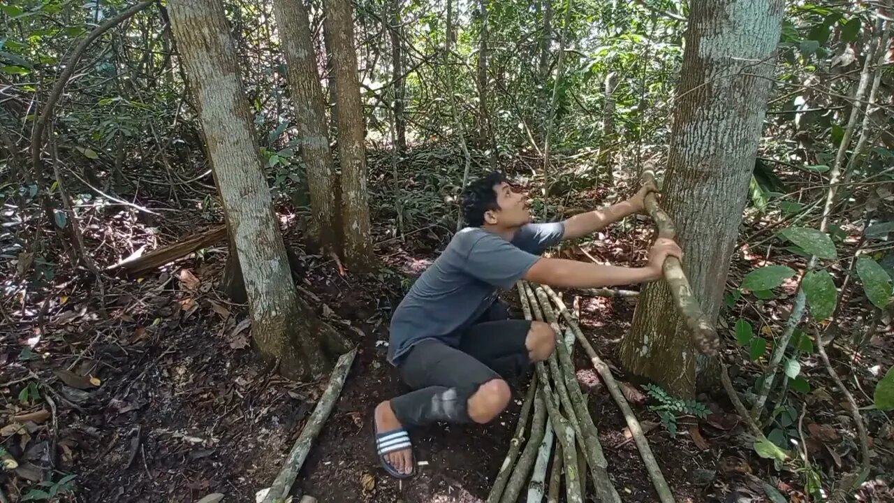 solo survival __ membangun shelter, masak, makan,eksplor, dan tidur nyenyak di hutan _5