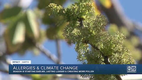 Pollen seasons worsening as temperatures warm up: Steps you can take to stay healthy