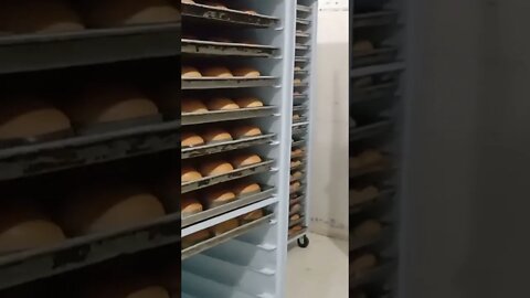 veja fábrica de pão top#short