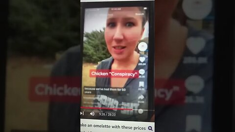 EGG “CONSPIRACY “🥚