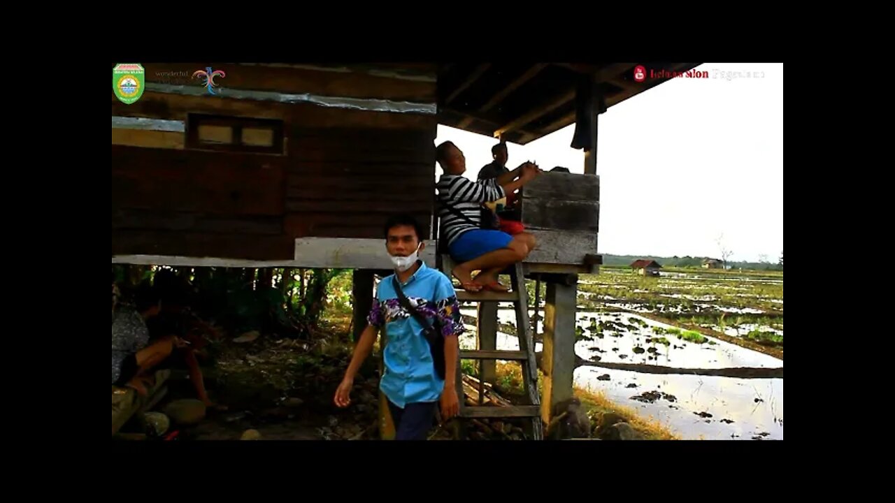 DISCIK '' DU BADAN '' GITAR TUNGGAL BATANGHARI SEMBILAN LINTANG 4 LAWANG SUMATERA SELATAN 1978