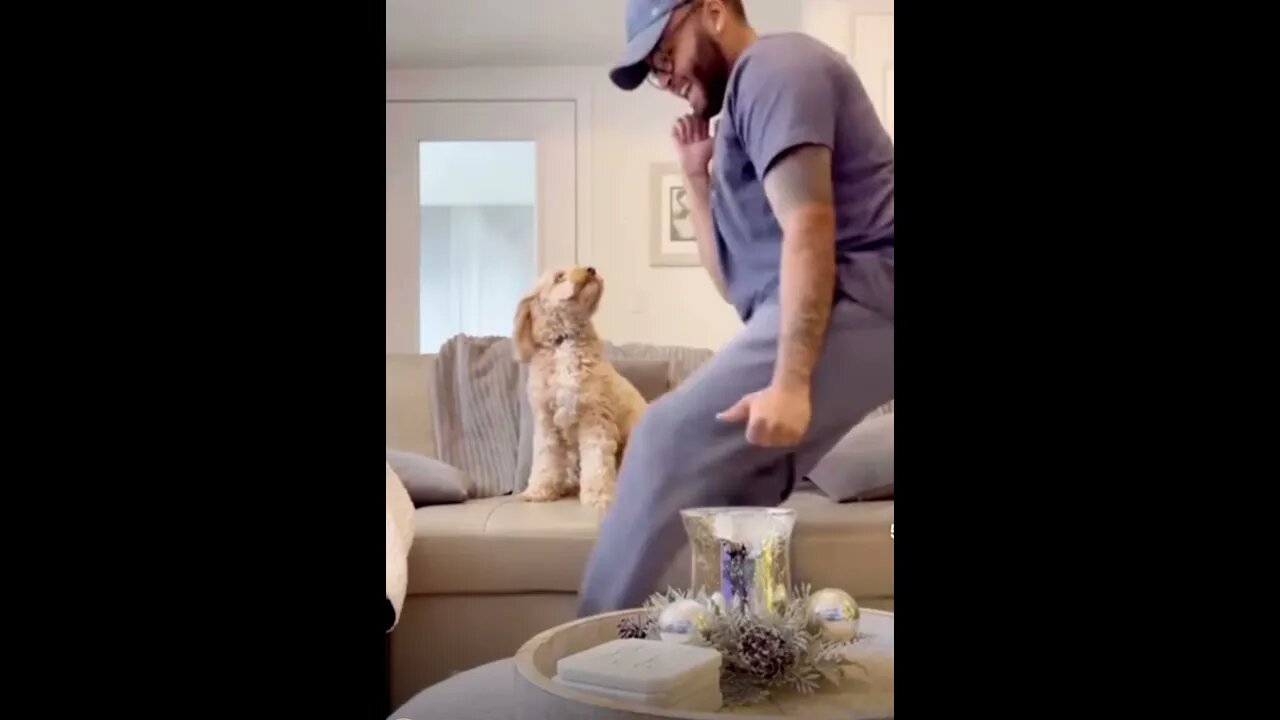Lets Boogie