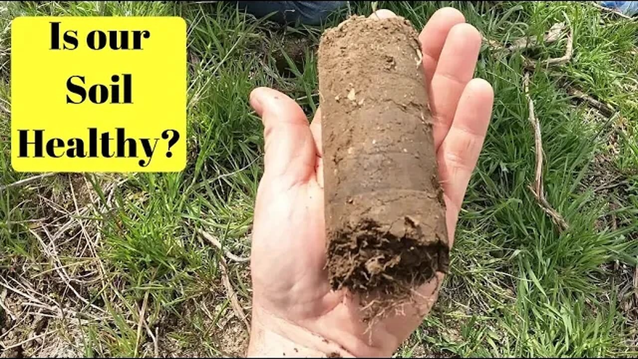 Is our soil healthy?