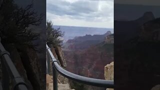 Grand Canyon North Rim | Bright Angel Point Trail