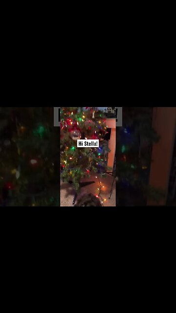 🎄 My Christmas Tree Has Lego Starwars Hanging #shorts