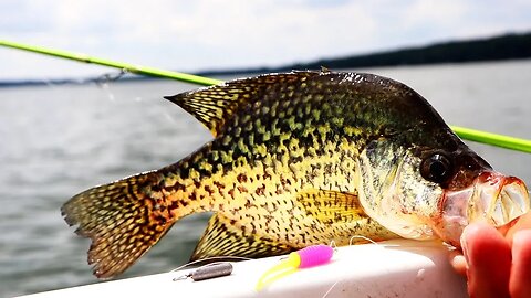 Best Crappie rig for fishing in deep water Ep.16 of 30 Day challenge