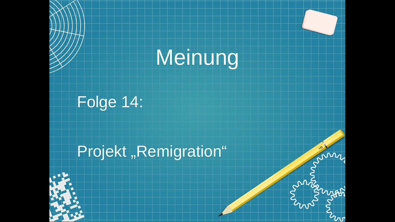 Meinung, Folge 14 - Projekt "Remigration"