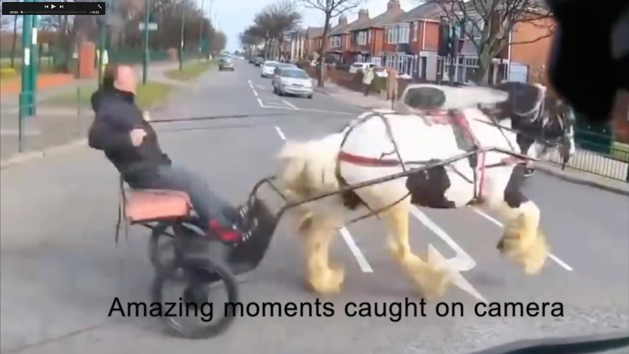 UNBELIEVABLE! Lucky and crazy moments caught on camera!