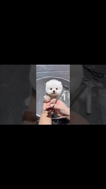 QUE LINDO CARA 🤣🤣🤣