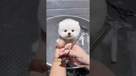 QUE LINDO CARA 🤣🤣🤣
