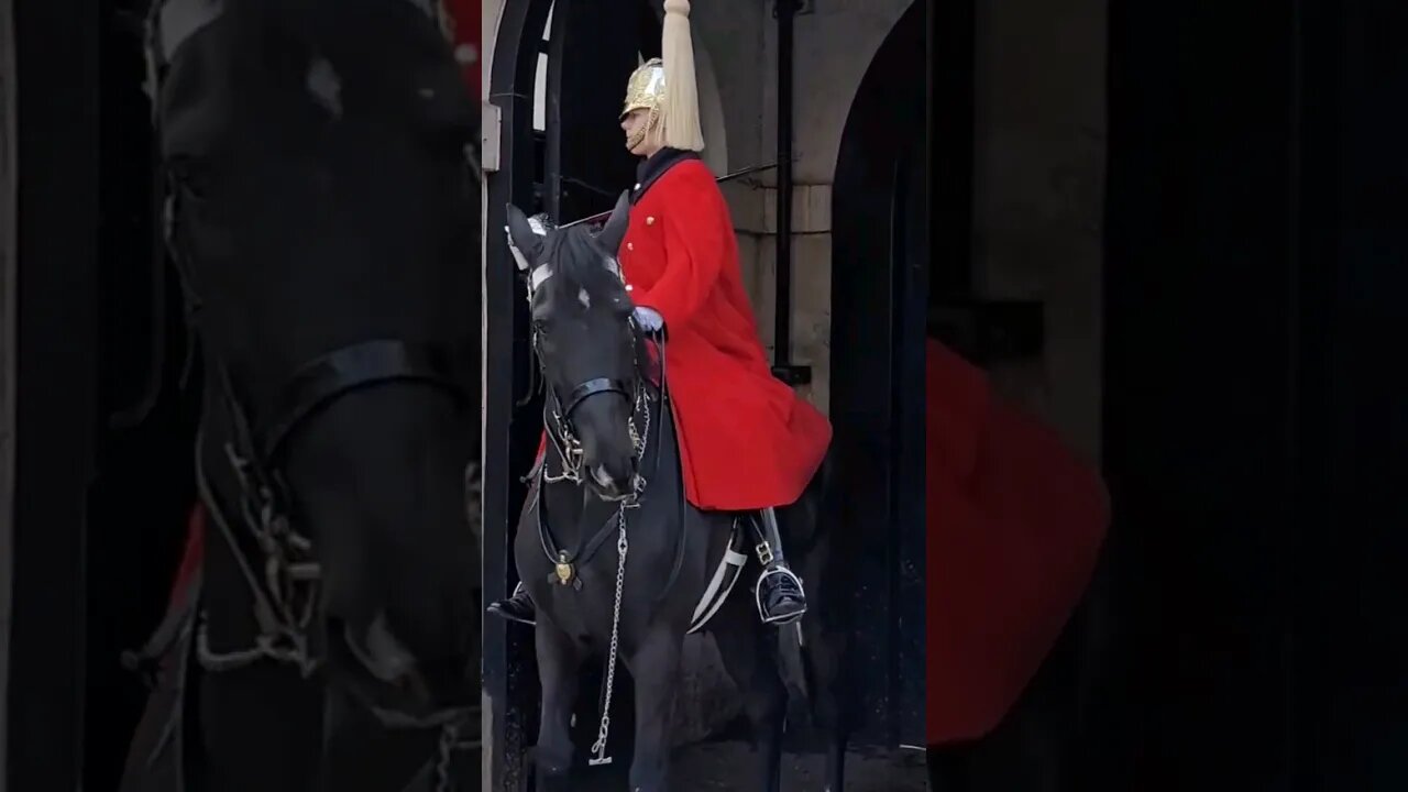 Guard calls for assistance #horseguardsparade
