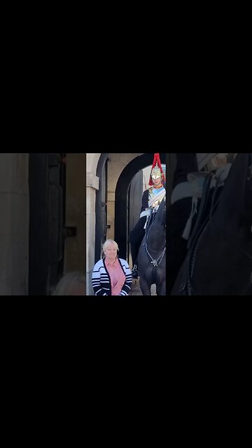 watch her 👀 eyes #horseguardsparade