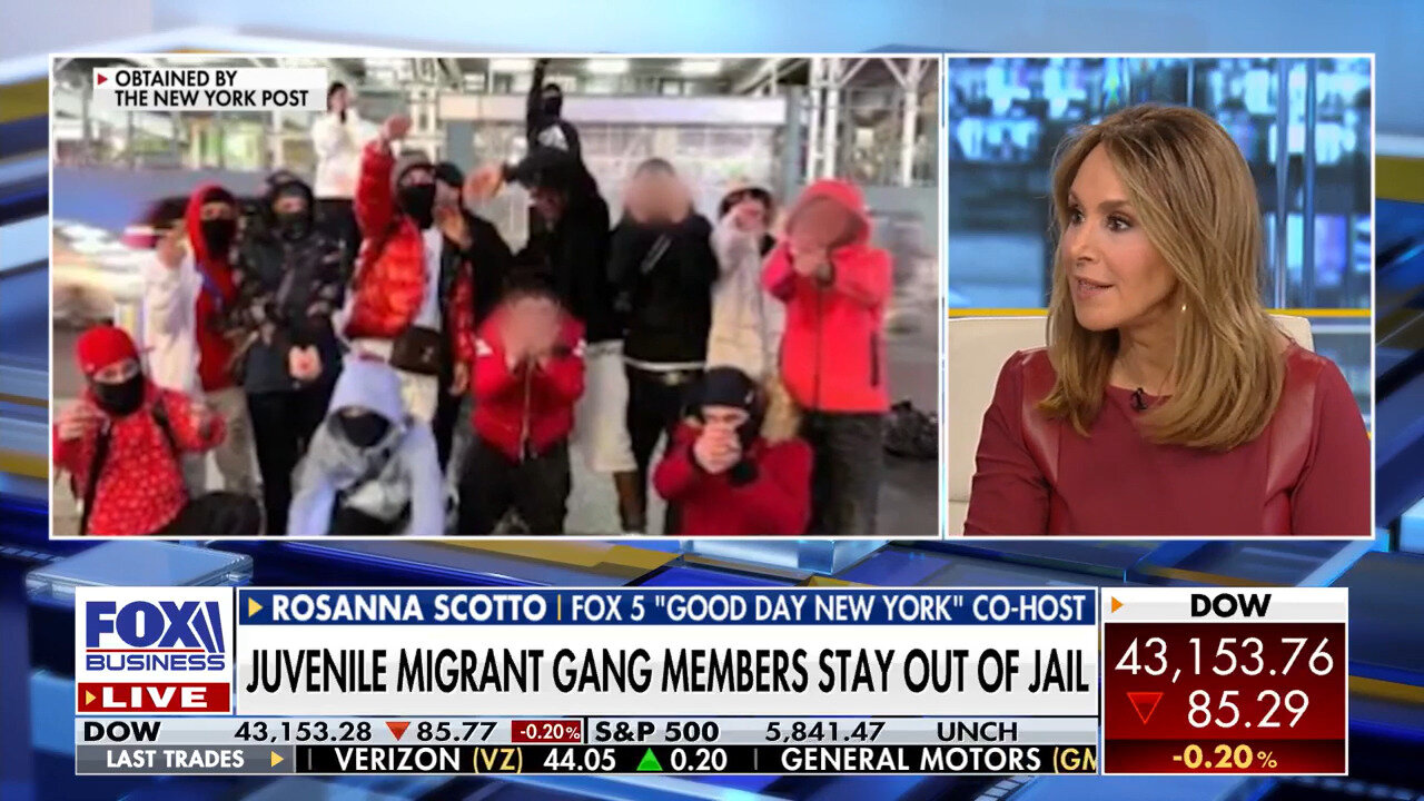 Migrant Gangs Are 'Terrorizing' New York City's 'Economic Engine': Rosanna Scotto