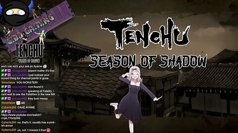 Tenchu Wrath of Heaven - Special Armor