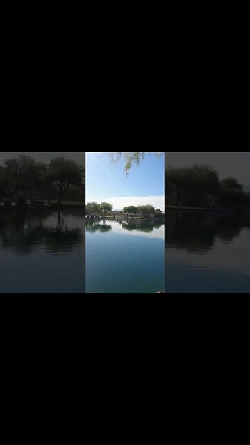 Sahuarita Lake