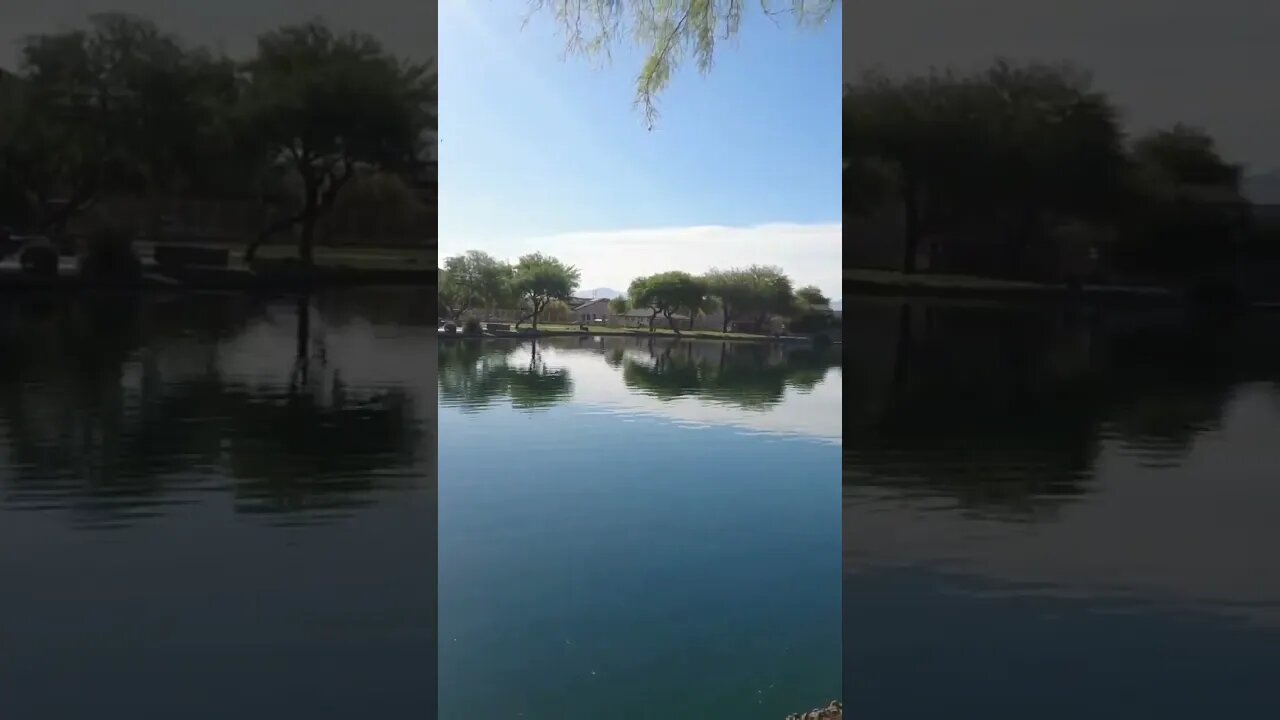 Sahuarita Lake